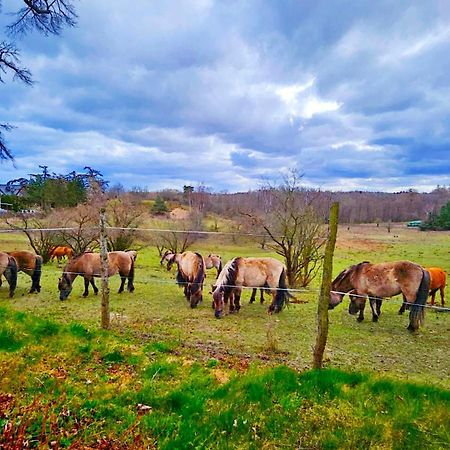 Villa Nadmorska Osada Oslonino Esterno foto